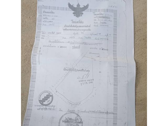 ขายที่นาแปลงใหญ่