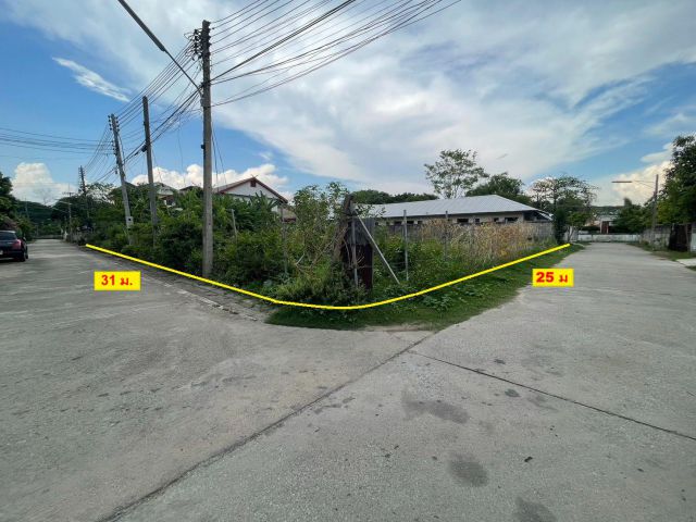 ขายที่ดิน ต.วัดเกตุ อ.เมือง จ.เชียงใหม่