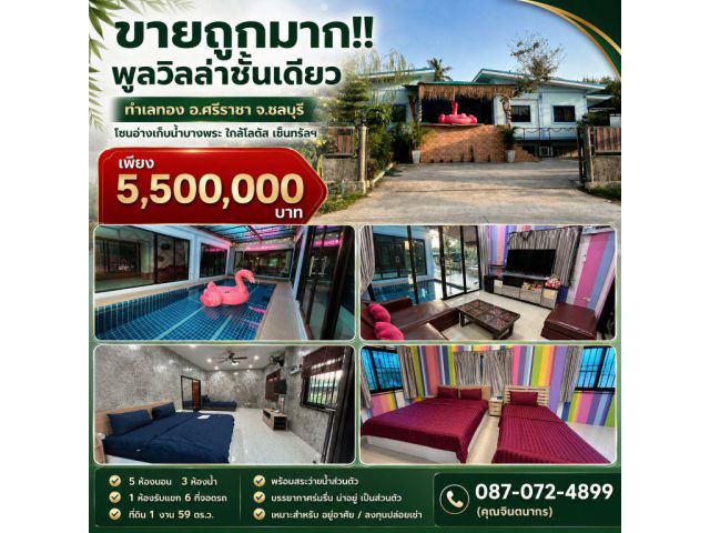 ขายถูกมาก!! พูลวิลล่าชั้นเดียว ทำเลทอง อ.ศรีราชา จ.ชลบุรี โซนอ่างเก็บน้ำบางพระ ใกล้โลตัส เซ็นทรัลฯ