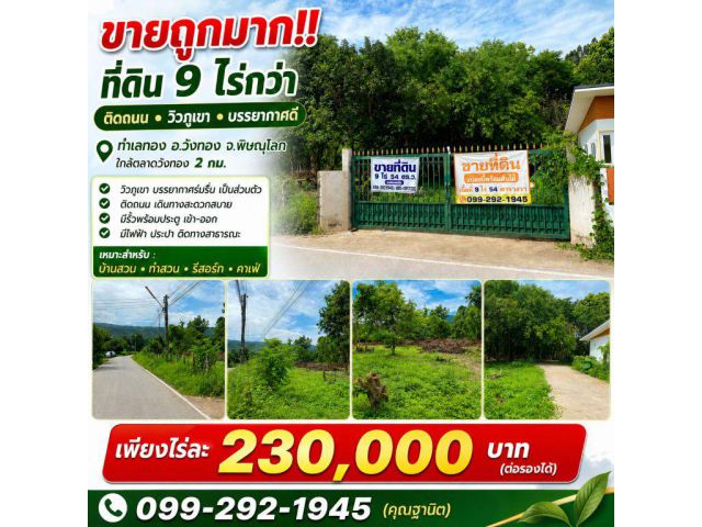 ขายถูมาก!! ที่ดิน 9ไร่กว่า ติดถนน วิวภูเขา บรรยากาศดี ทำเลทอง อ.วังทอง จ.พิษณุโลก ใกล้ตลาดวังทอง 2 กม.