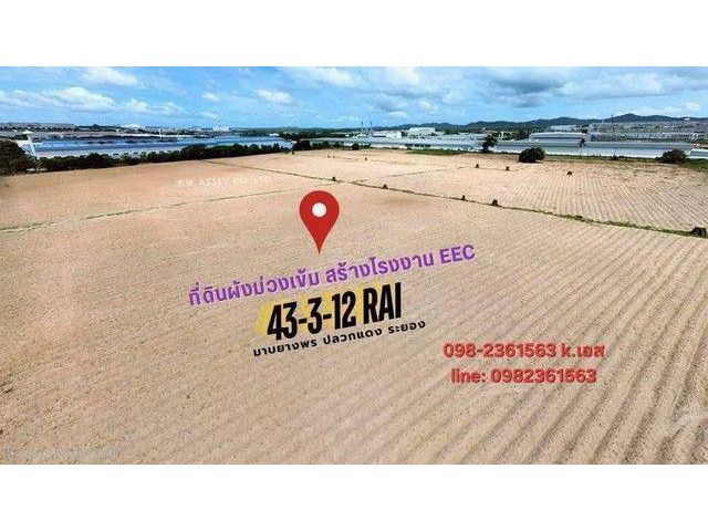 ขายที่ดิน ถมแล้ว 43-3-12 ไร่ เขตพื้นที่ สีม่วงเข้ม ติดนิคมอมตะซิตี้ระยอง