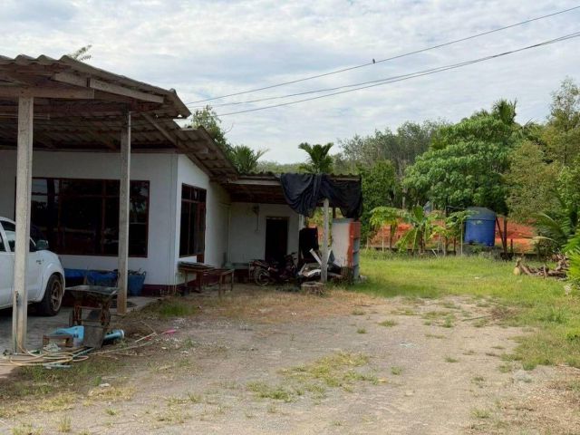 ขายที่ดินพร้อมสิ่งปลูกสร้าง ทำเลทองพุนพิน เนื้อที่ 1 ไร่ 144 ตร.ว. ต.ท่าข้าม อ.พุนพิน จ.สุราษฎร์ธานี