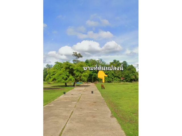 ขายที่ดินจัดสรร ใกล้โรงเรียนนารีนุกูร 2 ตำบลขี้เหล็ก อำเภอเมืองอุบลราชธานี