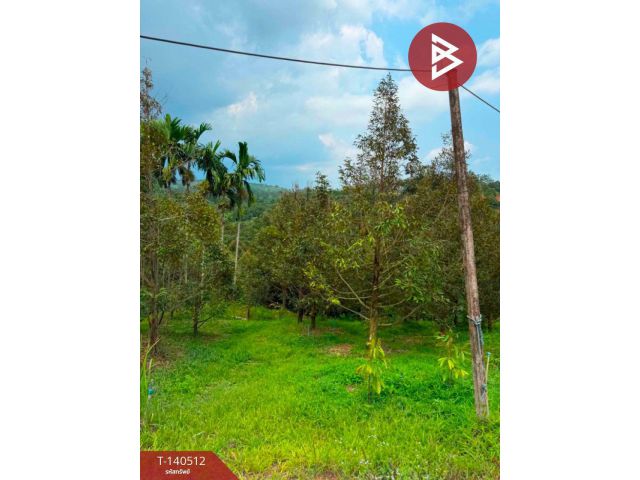 ขายที่ดินพร้อมสวน เนื้อที่ 6 ไร่ ขลุง จันทบุรี