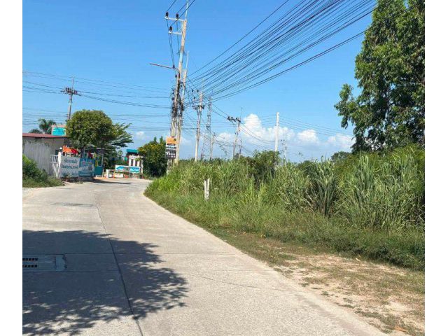ขายที่ดินมาบไผ่ 2 ไร่ ซอยวัดหนองแฟบ ใกล้ถนนเส้นศุขประยูร315-3.2กม. อ.บ้านบึง ชลบุรี