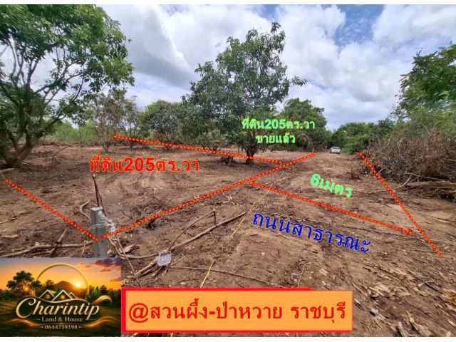 ขายที่ดินสวนผึ้ง 200 ตารางวา ที่ดินใกล้โรงพยาบาลสวนผึ้งตลาดชัฏป่าหวาย2กม.
