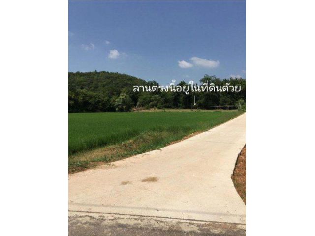 ขายที่ดิน 7 ไร่ ใกล้เขาวัดหนองหอย สนามกอลฟ์รอยัล ต.ธรรมเสน อ.โพธาราม จ.ราชบุรี