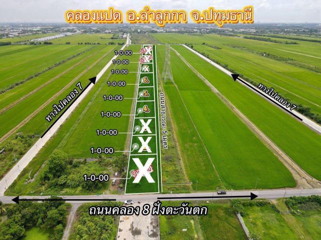 ขายที่ดิน1ไร่-3ไร่ ลำลูกกาคลองแปด ต.ลำลูกกา อ.ลำลูกกา จ.ปทุมธานี