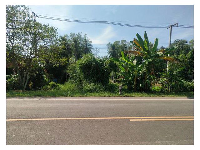 ขายที่ดินเมืองเพชรบูรณ์ เนื้อที่1 ไร่ ต.ดงมูลเหล็ก ใกล้ตลาด ชุมชน