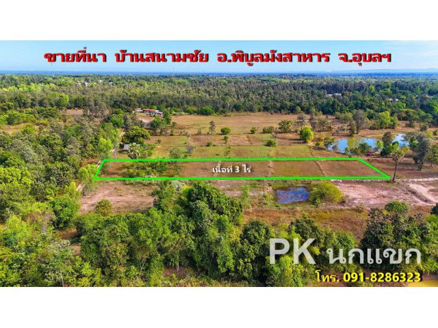 ขายที่นา 3 ไร่ บ้านสนามชัย อ.พิบูลมังสาหาร จ.อุบลราชธานี