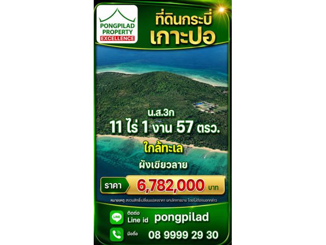 ขายที่ดินเกาะปอ กระบี่ น.ส.3ก 11 ไร่ 1 งาน 57 ตรว.