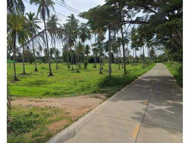 ขายที่ดินห้วยใหญ่ มาบฟักทอง 16 ไร่ ติดถนนคอนกรีต ใกล้หาดบ้านอำเภอ-5กม. อ.บางละมุง ชลบุรี