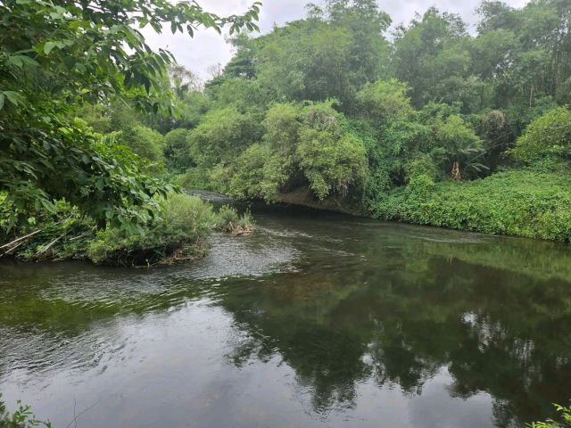 ที่ดินป่าติดคลองน้ำสวยมาก