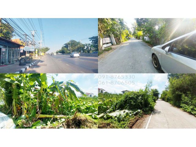 ขายที่ดินธัญบุรี 50ตรว คลอง 8 ปทุมธานี ใกล้ถนนรังสิต-นครนายก เพียง 340 เมตร ผ่อนได้