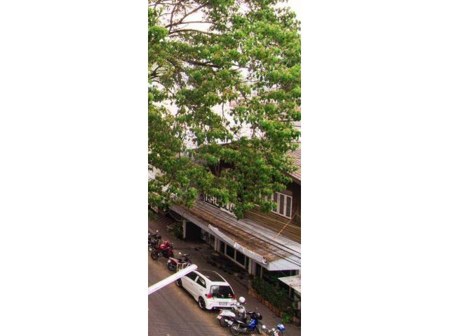 ขายบ้านเดี่ยว 2 ชั้นพร้อมผู้เช่า ที่ดิน 46 ตารางวาในคูเมืองชั้นใน ถนนอินทวโรรส