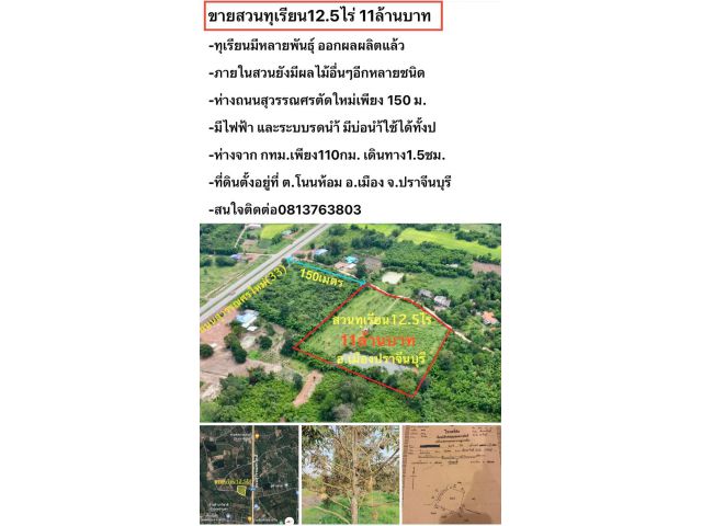 ขายสวนทุเรียน12.5ไร่ ทุเรียนให้ผลผลิตแล้ว ใกล้ถนนสุวรรณศร อ.เมืองปราจีนบุรี