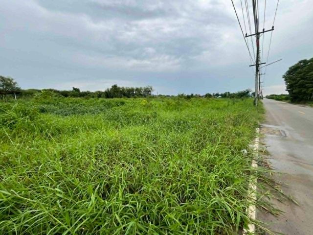 ขายที่ดินซอยวัดแพรกวังตะเคียน 4 ไร่ ติดถนนคอนกรีต ใกล้ถนนเส้นสุวินทวงศ์304-800เมตร อ.เมืองฉะเชิงเทรา