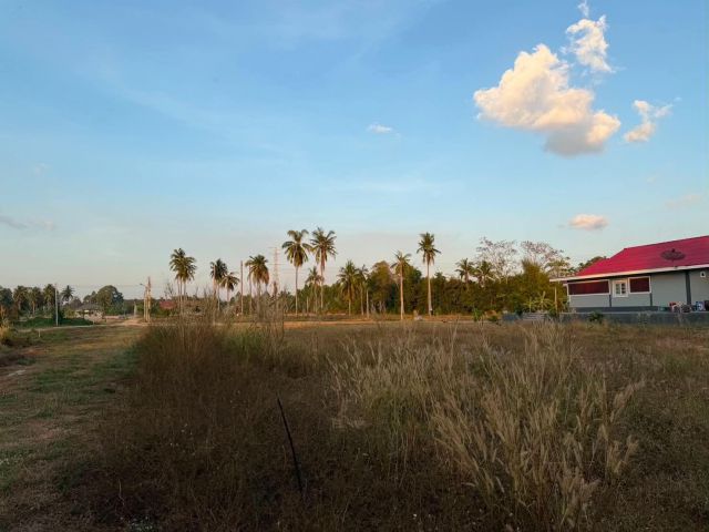 ขายที่ดินห้วยใหญ่-ชากแง้ว 300 ตรว. ติดลำห้วย ใกล้ถนนเส้นสุขุมวิท3-7กม. อ.บางละมุง ชลบุรี