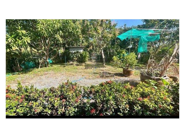 L902 ขายสวนสวยพร้อมบ้านพัก 335 ตรว แปลงมุม ติดถนน 2 ด้าน ไทรน้อย นนทบุรี ราคาขาย 2,849,000 บาท