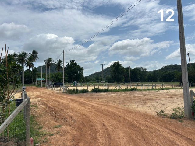 ที่ดิน Coconut Land เขาชะงุ้ม โพธาราม ราชบุรี สดผ่อนได้