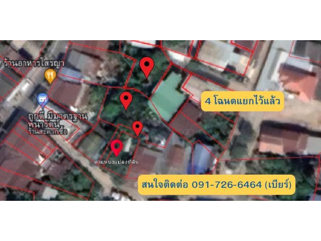 ขายที่ดิน 297 ตารางวา อำเภอพรานกระต่าย จังหวัดกำแพงเพชร