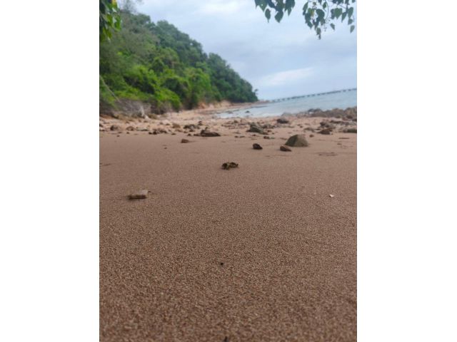 ที่ดินติดทะเล12ไร่2งาน20ตรว หาดส่วนตัว