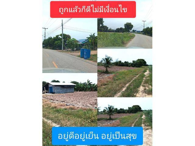 เป็นทางเลือกที่ดีของปัจจุบันยันอนาคต แปลงดีทำเลได้อยู่ดีอยู่เย็นเป็นสุข ความเป็นอยู่ที่ดีพร้อมสรรพ ยกระดับสุขพร้อมบวก