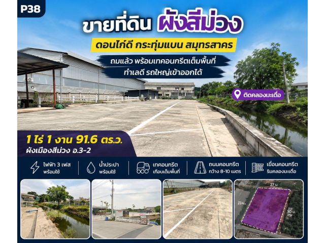 ขายที่ดินผังสีม่วง 1 ไร่ 1 งาน 91.6 ตร.ว. ดอนไก่ดี กระทุ่มแบน ทำเลสำหรับคนมองหา "ที่ดินพร้อมใช้" ไม่ใช่แค่ที่ดินเปล่า