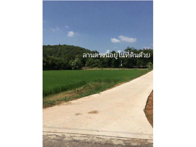 ขายที่ดิน 7 ไร่ ใกล้เขาวัดหนองหอย สนามกอลฟ์รอยัล ต.ธรรมเสน อ.โพธาราม จ.ราชบุรี