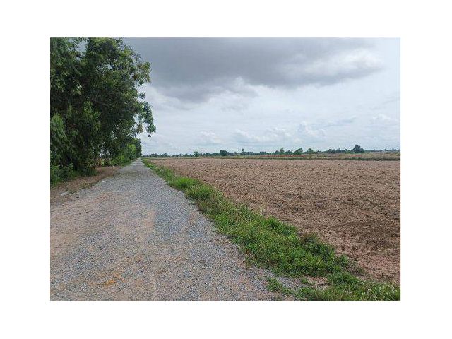 ขายที่ดิน 73 ไร่ ต.หนองพระ อ.วังทอง จ.พิษณุโลก