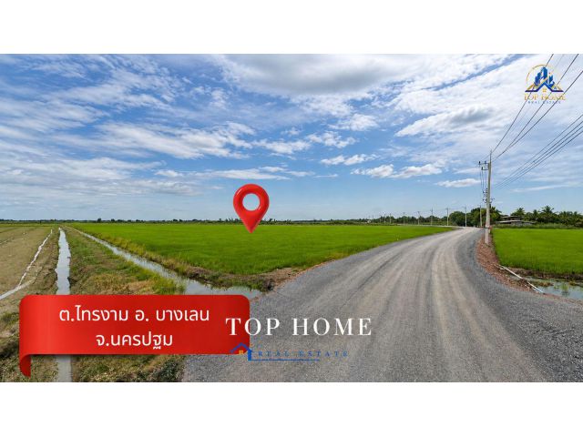 ขายด่วน! ที่ดินแปลงใหญ่ 30 ไร่ บางเลน ติดถนนลาดยาง ทำเลศักยภาพ เหมาะลงทุน
