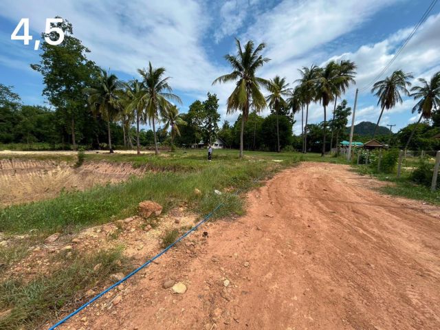 ที่ดิน Coconut Land เขาชะงุ้ม โพธาราม ราชบุรี