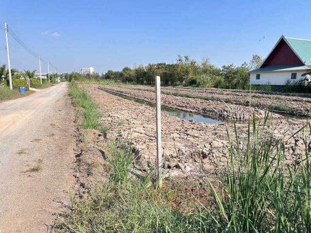 ขายที่ดินสวยติดกับรีสอร์ทบ้านพักรายวัน คลอง 6 คลองหลวง ปทุมธานีใกล้ราชมงคลธัญบุรี สนามกอล์ฟอัลไพน์
