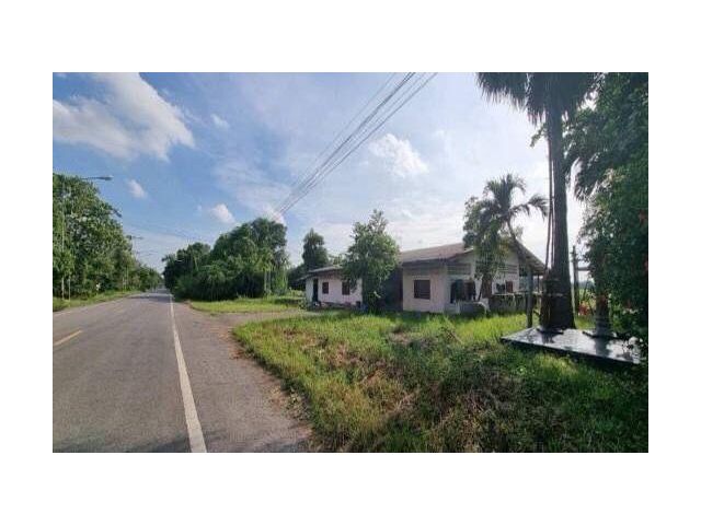 ขายที่ดิน 89-0-19 ไร่ คลอง 11 ต.บึงกาสาม อ.หนองเสือ จ.ปทุมธานี