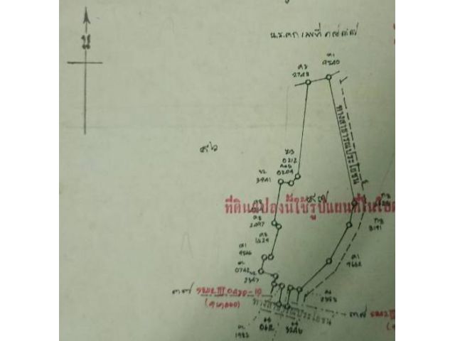 ที่ดิน 1 ไร่ 1 งาน 56 ตารางวา พร้อมสิ่งปลูกสร้าง ต.หนองผือ อ. เขาวง