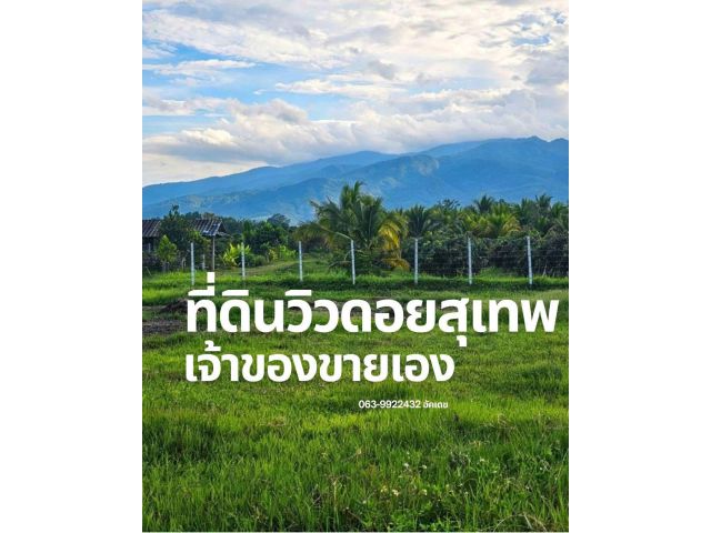ขายด่วน! ที่ดินเชียงใหม่ เจ้าของเอง ราคาต่ำกว่าตลาด ใกล้ห้างใหญ่