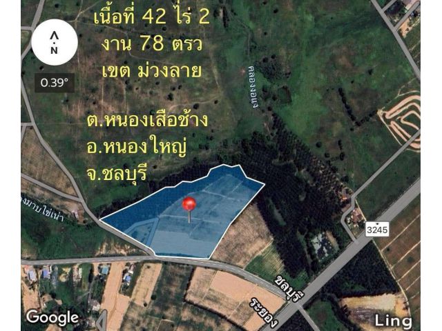 ที่ดินหนองใหญ่42ไร่สีม่วง