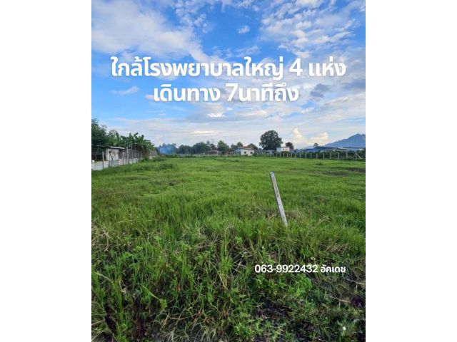 ขายที่ดินเปล่า แม่ริม เชียงใหม่ เจ้าของขายเอง