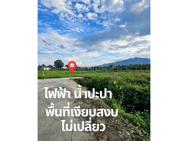 ขายที่ดินเชียงใหม่ วิวดอยสุเทพ เดินทางสะดวก เจ้าของขายเอง