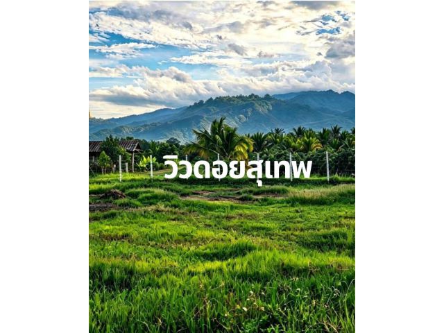 ขายด่วน! ที่ดินแม่ริม ทำเลศักยภาพ ราคาต่ำกว่าตลาด เจ้าของขายเอง