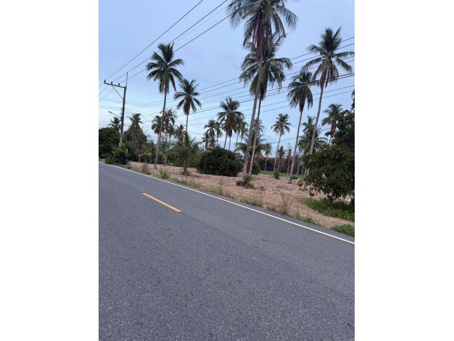 ที่ดิน2ไร่ใกล้วัดญาน