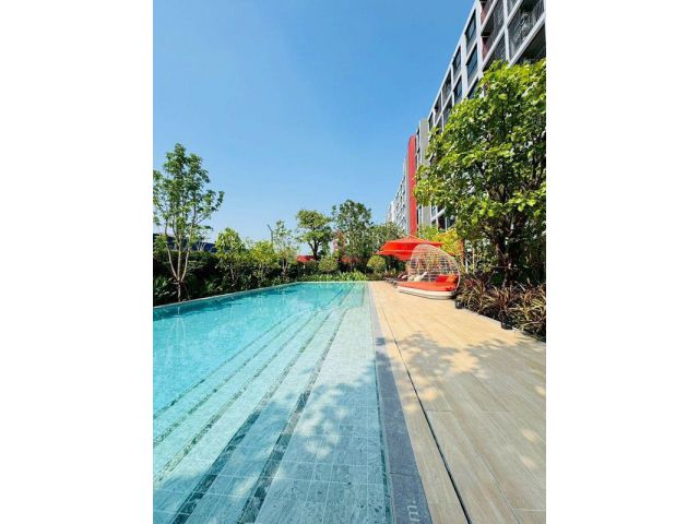 ขายคอนโดใหม่ dcondo Vivid Rangsit ใกล้ ม.กรุงเทพ รังสิต ปทุมธานี พร้อมอยู่ โทร 0654496399