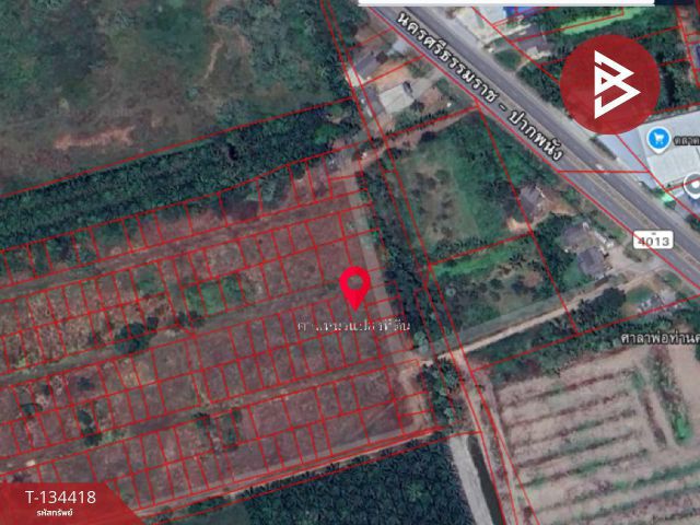 ขายที่ดิน เหมาะสำหรับสร้างที่พักอาศัย เนื้อที่ 50 ตร.วา ท่าไร่ นครศรีธรรมราช