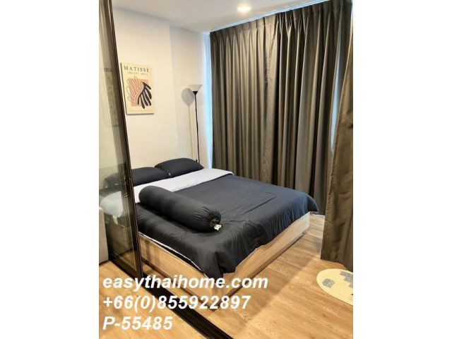 P-55485 | Modiz Sukhumvit 50 (โมดิซ สุขุมวิท 50) คอนโดให้เช่า 1 ห้องนอน วิวสวน เฟอร์นิเจอร์ครบ พร้อมเครื่องซักผ้า