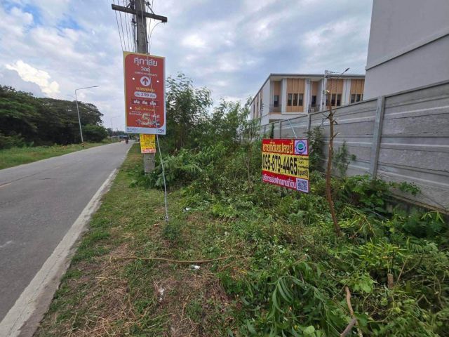 ขายที่ดิน 26 ไร่ 85 ตรว ติดถนนลาดยางสาธารณะ ระแหง ลาดหลุมแก้ว ปทุมธานี