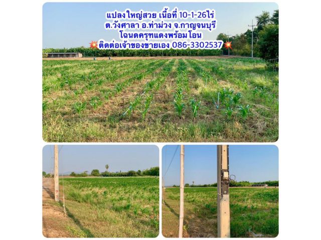 ที่ดินผืนใหญ่ทำเลดี10ไร่ โฉนดครุฑแดงพร้อมโอน ใกล้เทศบาลวังศาลา ท่าม่วง เข้าออกได้หลายทาง ติดถนนสาธารณะ ใกล้ทางด่วนM81