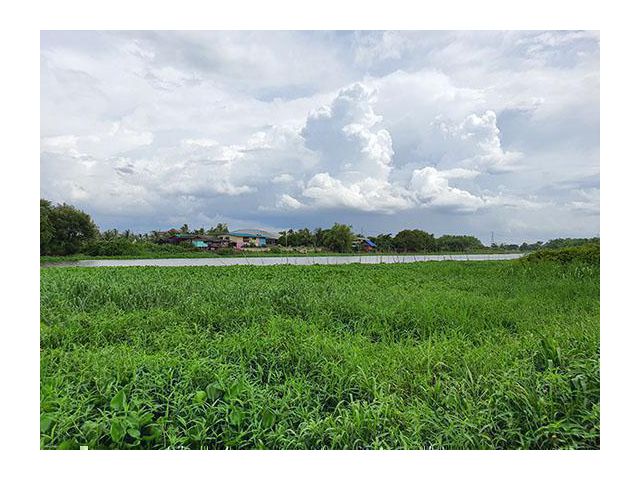 ติดทางติดแม่น้ำท่าจีน ติดทาง ใกล้กรุงเทพ บรรยากาศแบบท้องทุ่งธรรมชาติ 1.3 .61ไร่