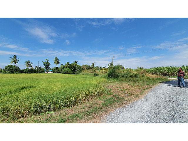 วิวท้องทุ่ง บรรยากาศดีติดทางติดคลองชล ใกล้ทางขึ้น-ลงมอเตอร์เวย์ 6ไร่ เศษ