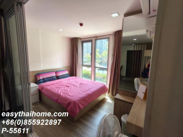 P-55611 ให้เช่า Moniiq Sukhumvit 64 (โมนีค สุขุมวิท 64) | 1 ห้องนอน | วิวสระว่ายน้ำ | เฟอร์นิเจอร์ครบ | ใกล้ BTS