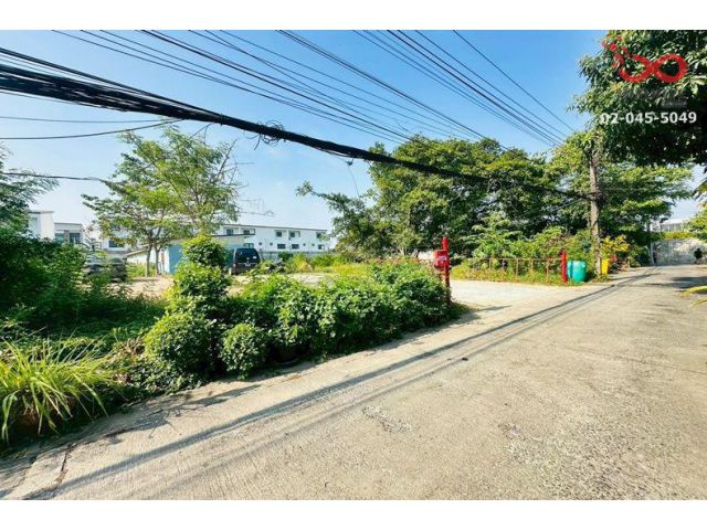 ขายที่ดิน 105 ตร.ว. ถนนสุขุมวิท ซอยอ่อนนุช 46 แยก 20 ถมแล้ว ใกล้รถไฟฟ้าสีเหลือง-สีเขียว
